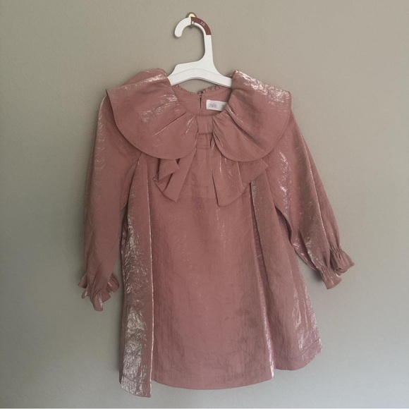 Zara Other - Zara Shimmering Pink Dress